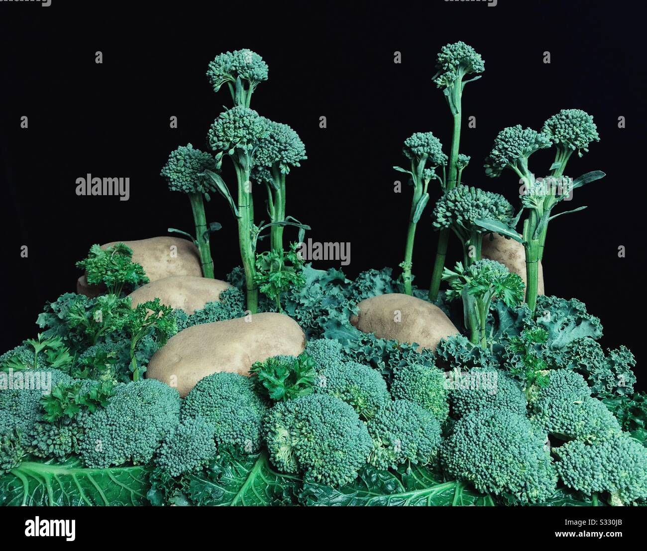 Mangiate il paesaggio dei verdi vegani Foto Stock