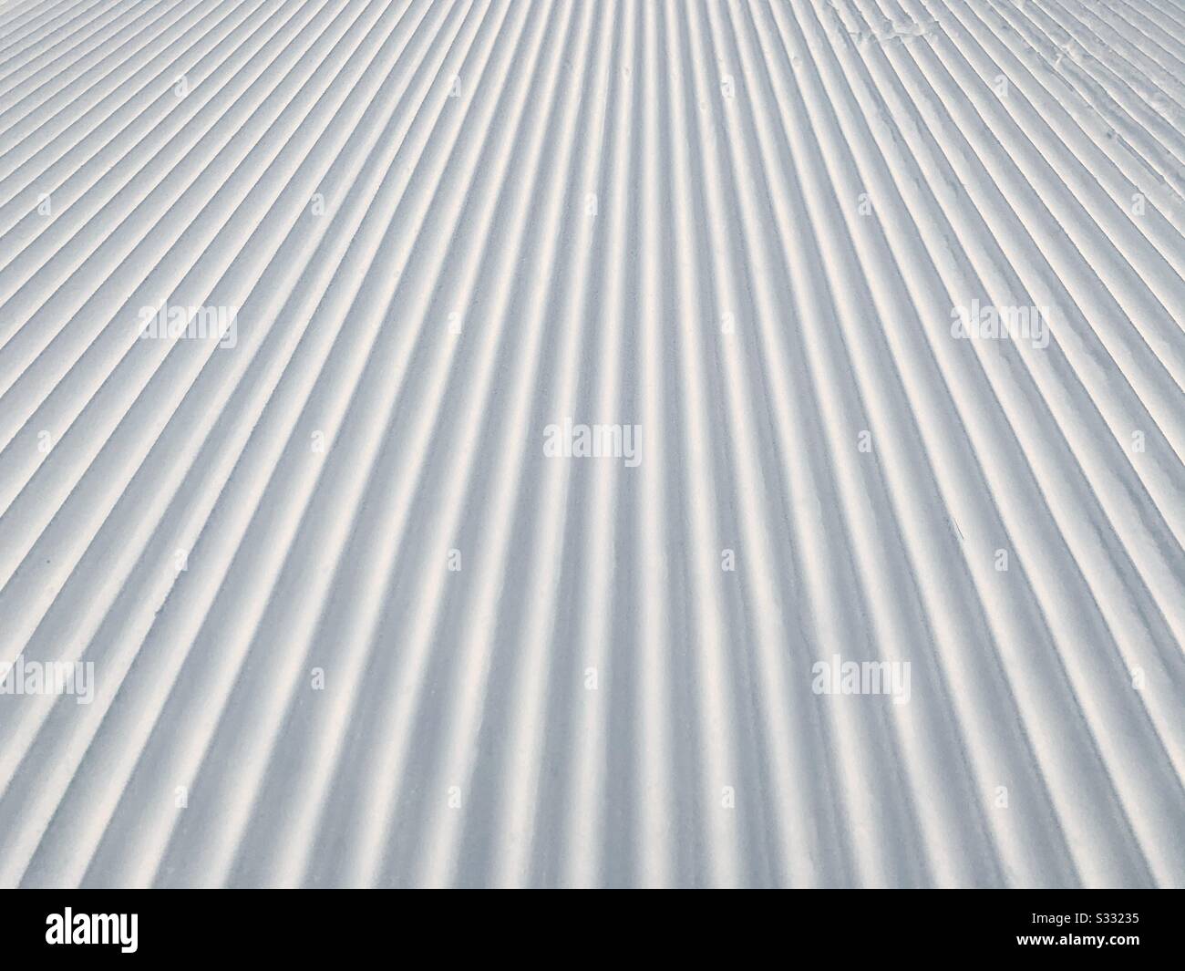 Pista da sci di fondo appena preparata Foto Stock