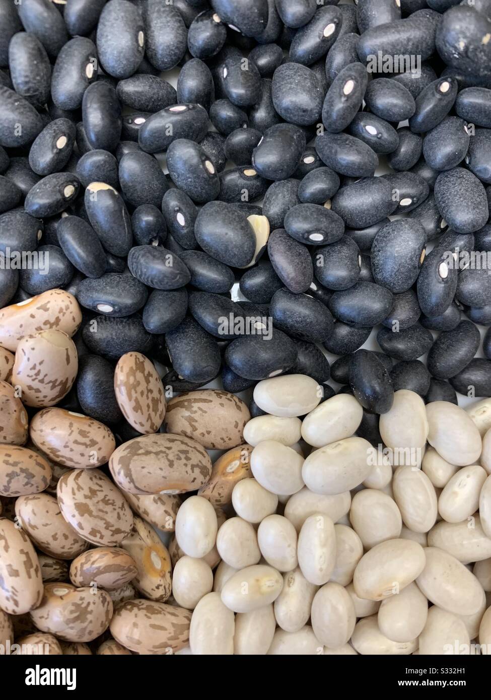 Impulsi Essiccati Tricolore - Immagine stock catturata con smartphone