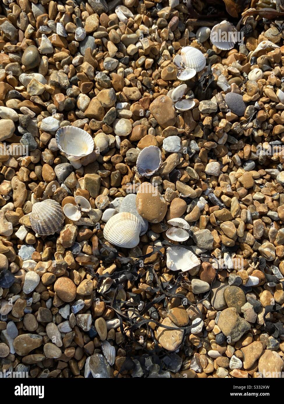 Ciottoli e conchiglie sulla spiaggia di Seabrook, Kent. Il 4th è il 2020. Foto Stock