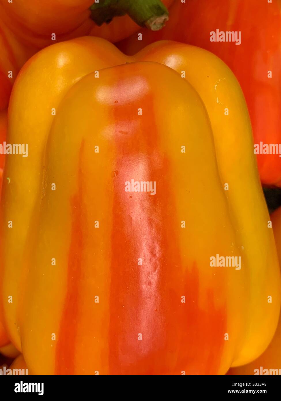 Peperone rosso e arancio a righe fresche Foto Stock