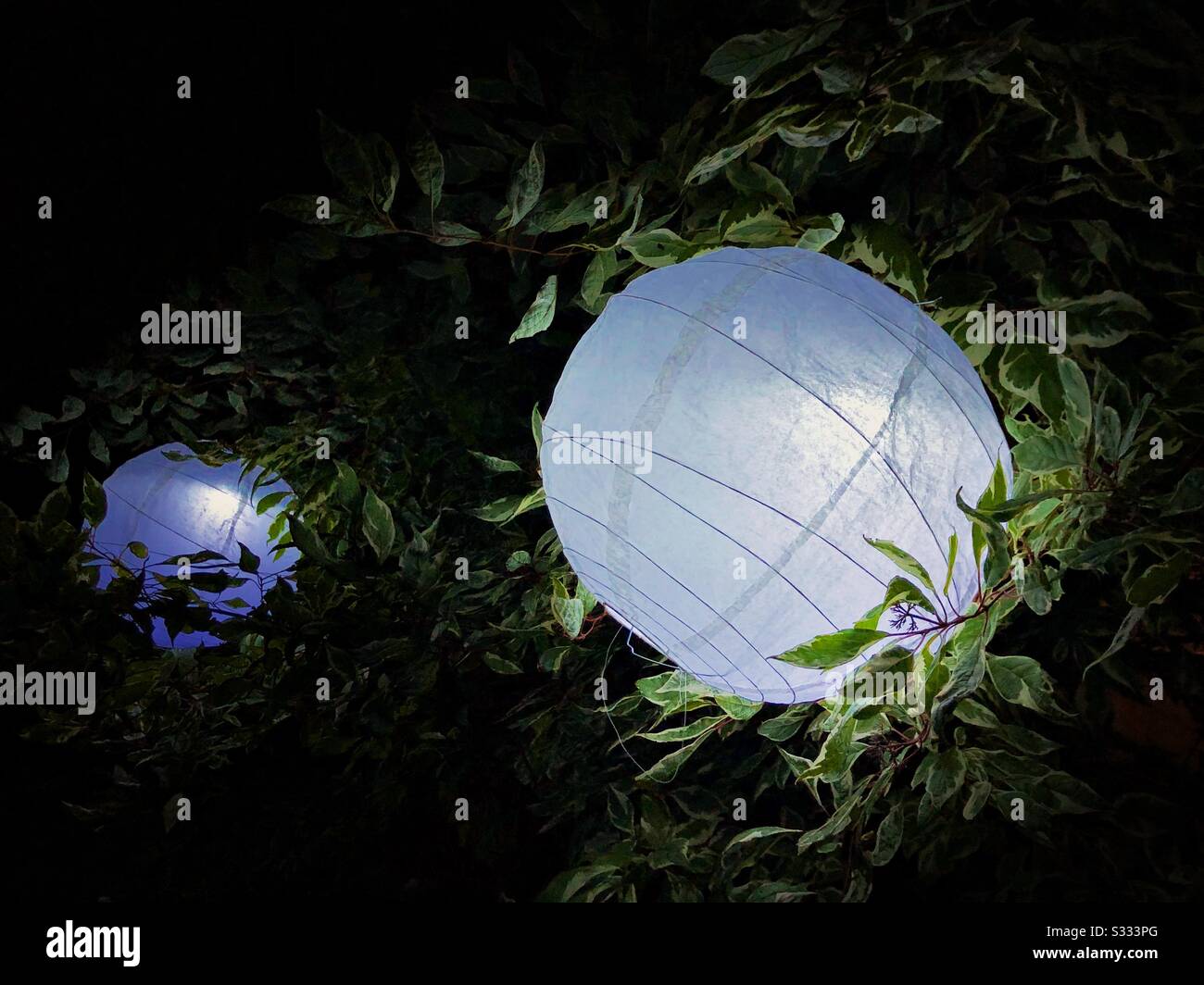 Lanterne di carta negli alberi di notte Foto Stock