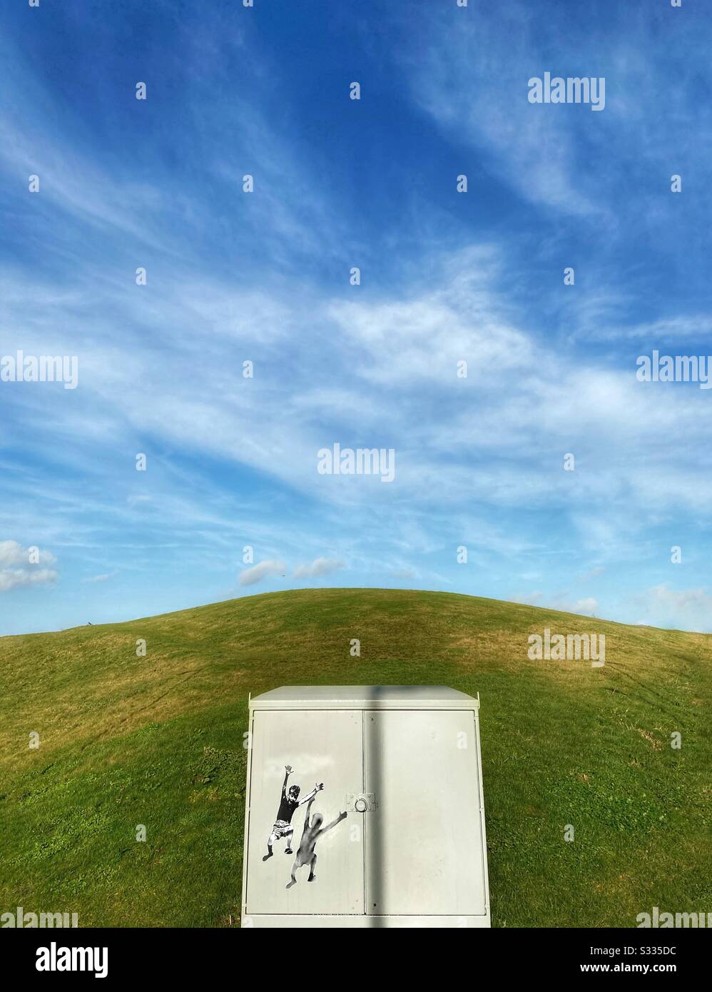 Scatola con graffiti di salto ragazzo posizionato davanti a rondone erba e cielo blu Foto Stock
