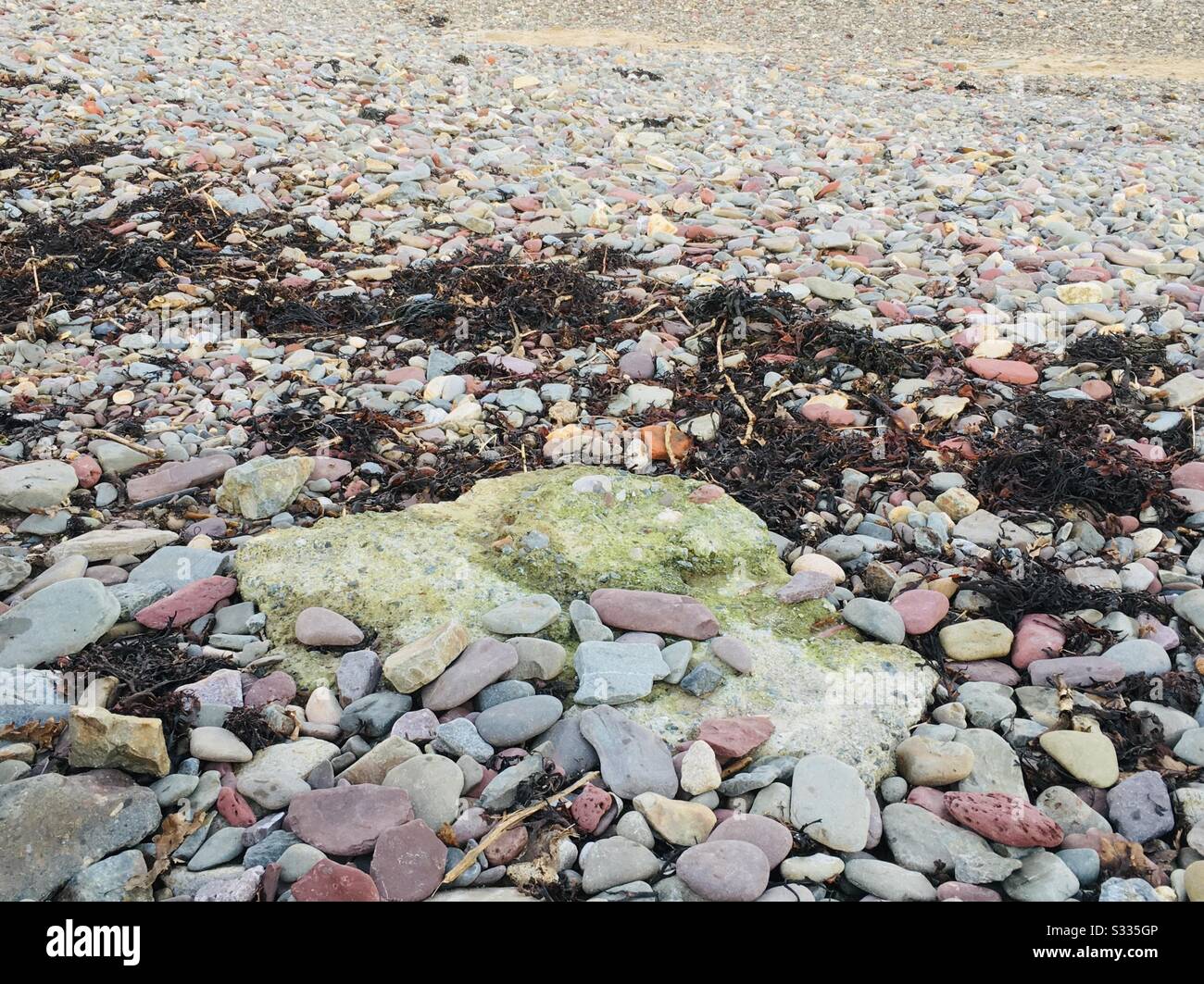 Antica pietra arenaria del periodo siluriano e Devoniano. Sulla spiaggia di Dale, Pembrokeshire, Galles, Regno Unito. Foto Stock