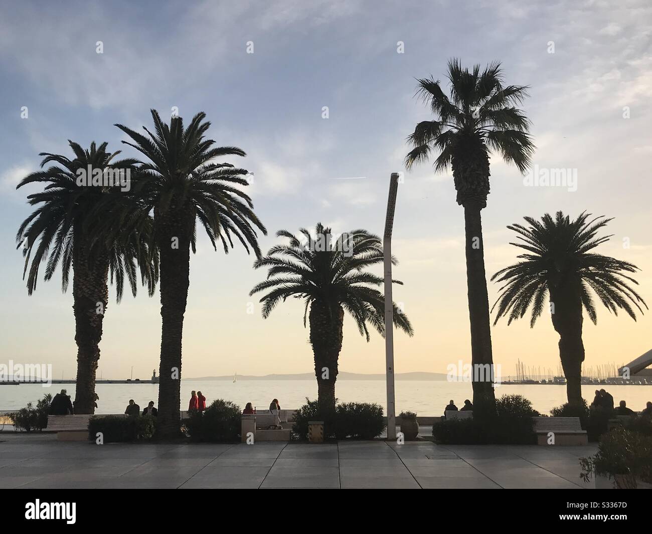 Spalato, Croazia - palme decorare il lungomare di Spalato, Croazia rendendo l'inverno automaticamente più caldo. Il cambiamento climatico e il riscaldamento globale lo hanno reso ancora più evidente Foto Stock