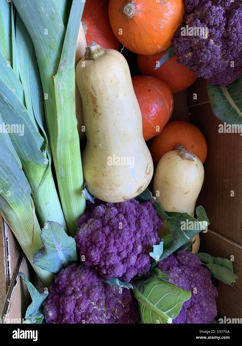 Verdure vegane colorir Foto Stock