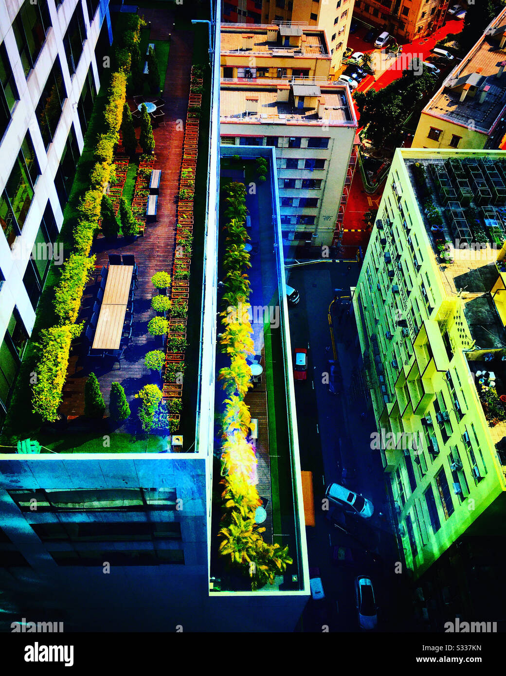 Giardini all'ultimo piano tetto delle torri di Hong Kong Foto Stock