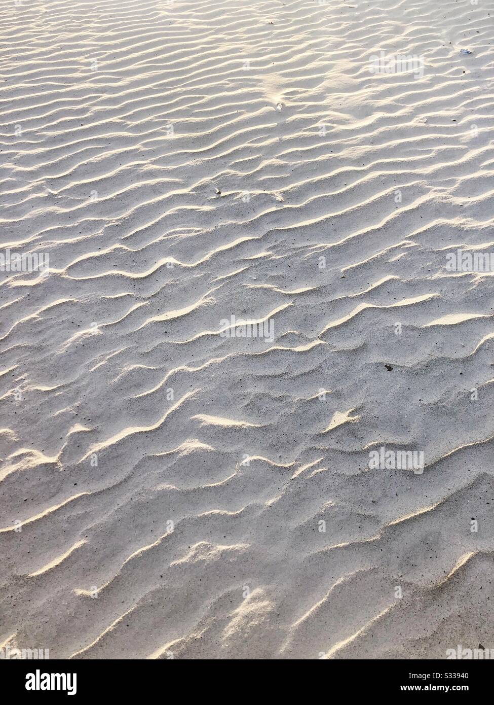 Increspature nella sabbia. Foto Stock