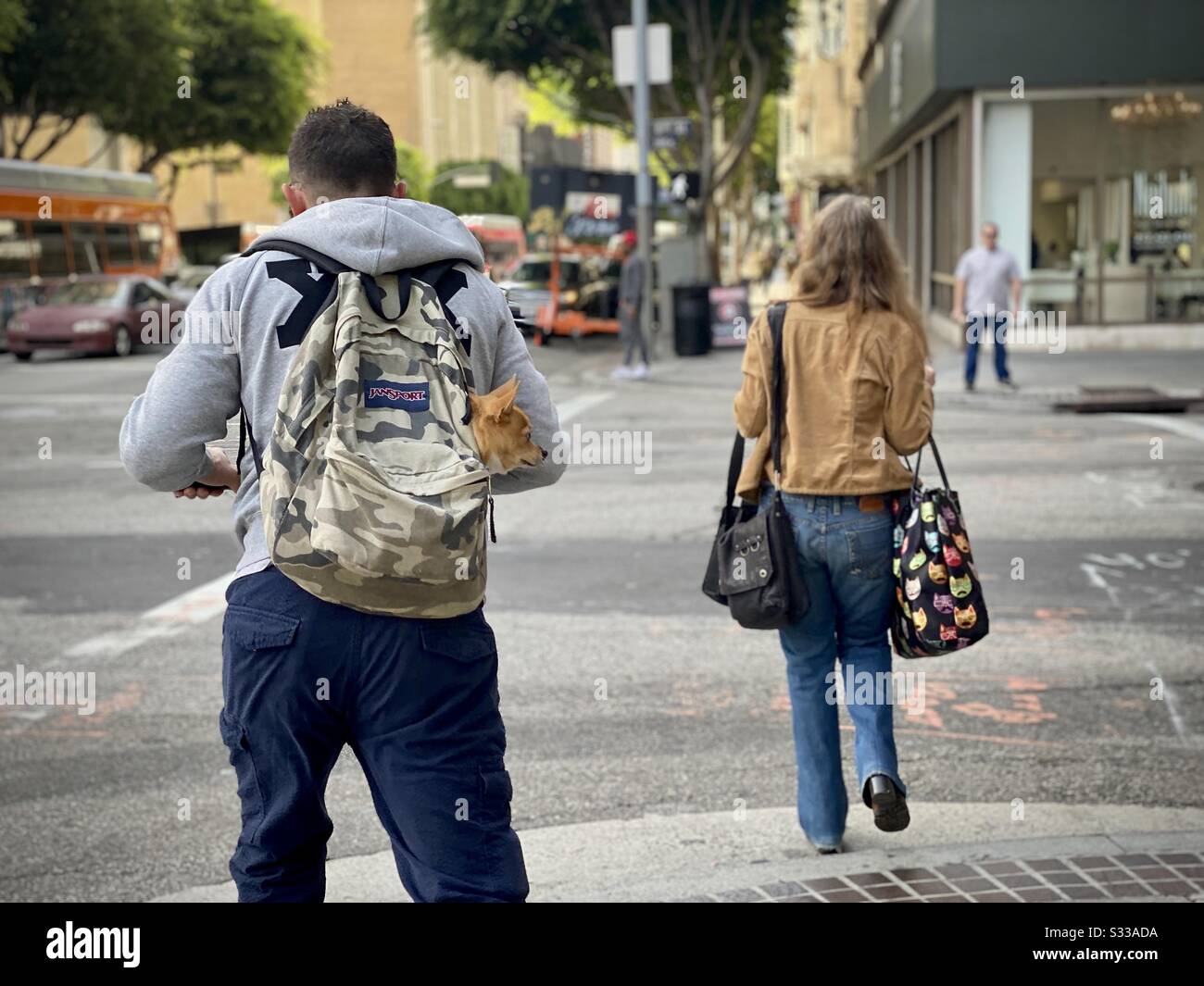 Los ANGELES, CA, JAN 2020: L'uomo attende all'incrocio nel centro città con un piccolo cane nel back pack. Donna in attesa di croce porta borsa con foto di gatto - Immagine stock catturata con smartphone