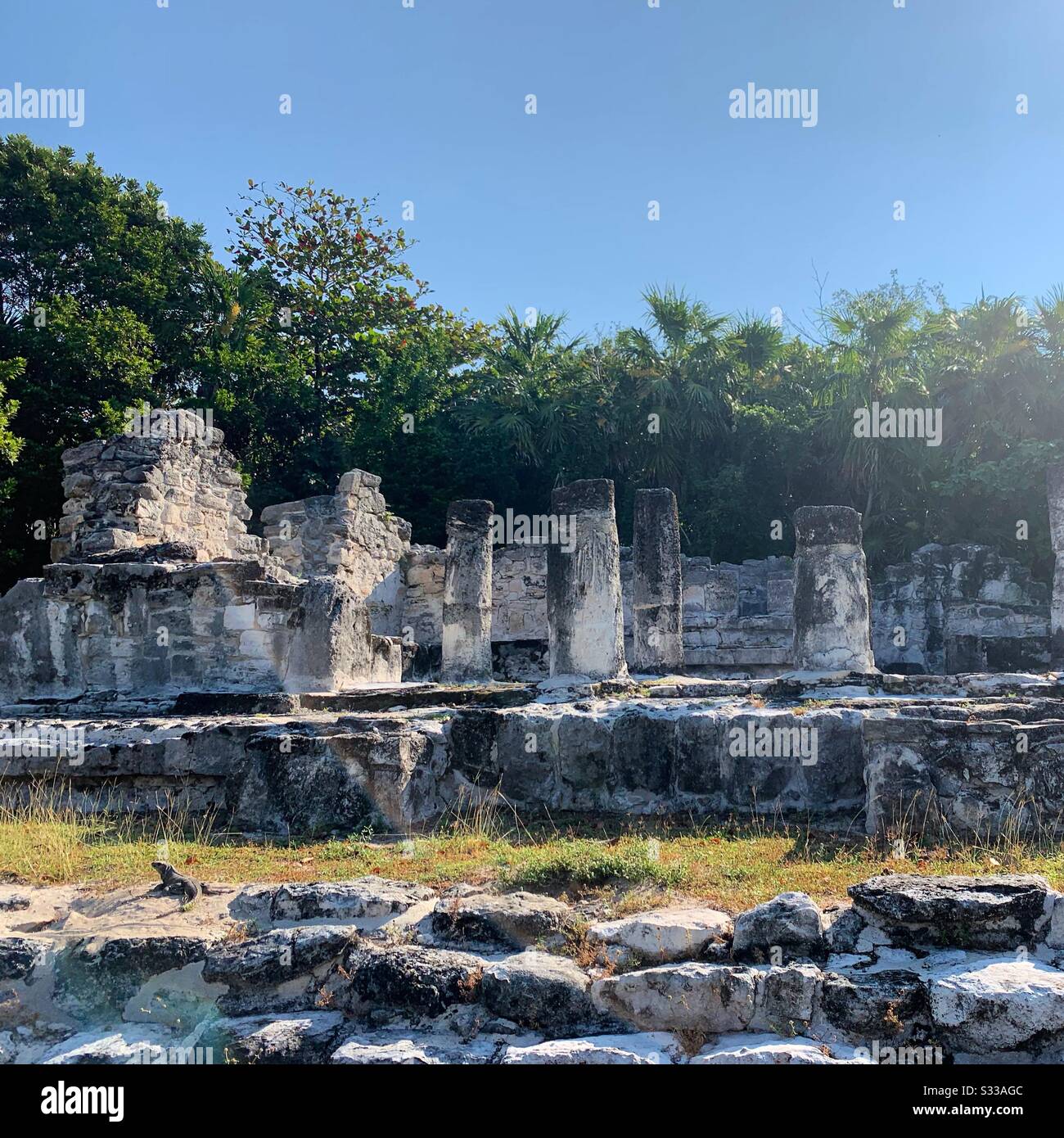Sito Archeologico Di El Rey, Cancun, Quintana Roo, Messico - Immagine stock catturata con smartphone