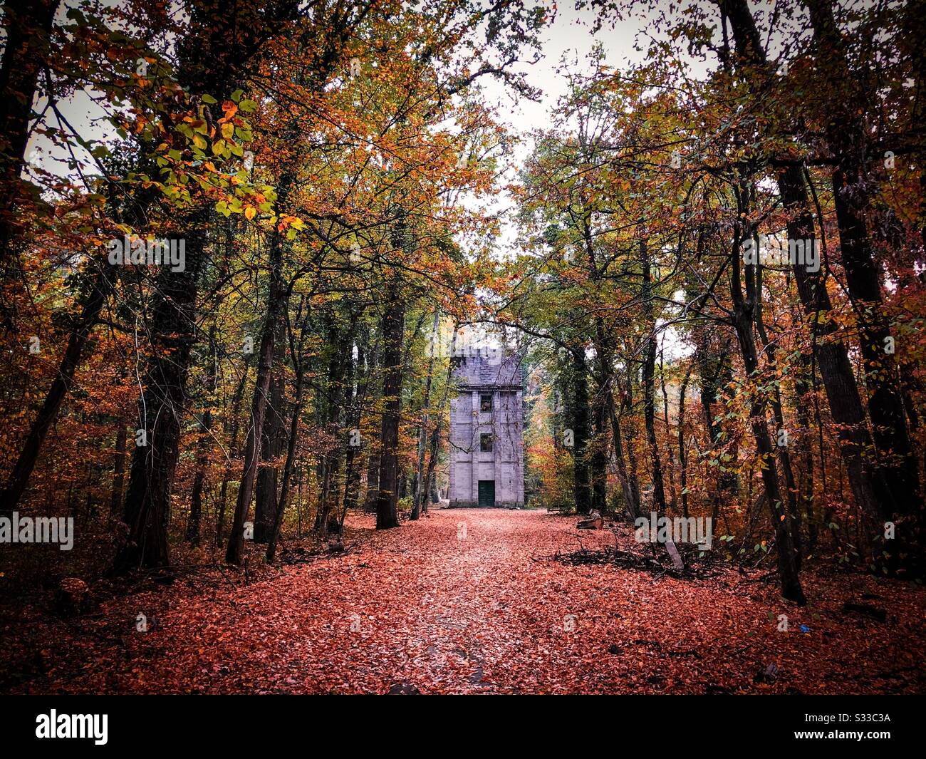 Vecchio edificio nella foresta in autunno Foto Stock