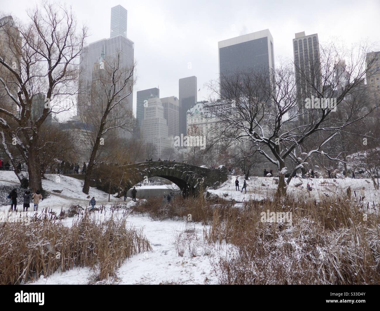 Inverno A Central Park, New York Foto Stock
