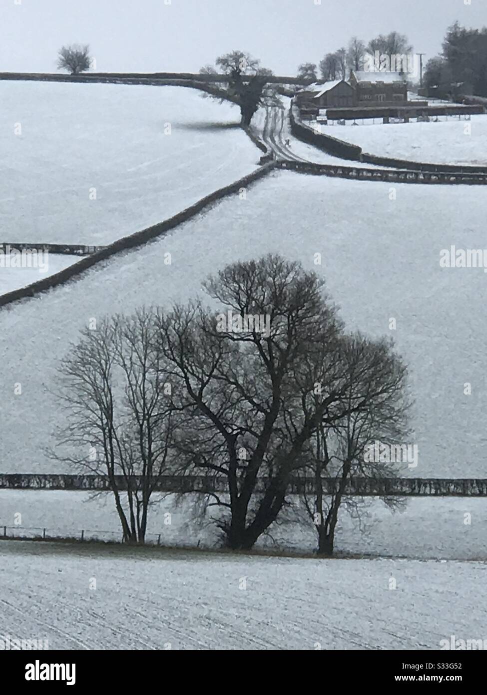 UK North Yorkshire, 24th febbraio 2020, Weather - Snow in North Yorkshire attraverso terreni agricoli Foto Stock