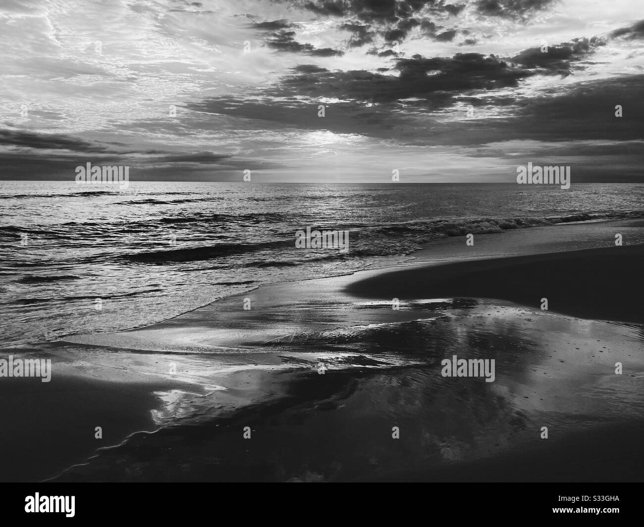 Un suggestivo condimento bianco e nero dalla costa del Golfo della Florida. - Immagine stock catturata con smartphone