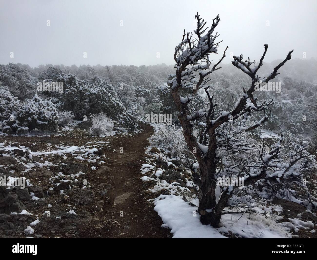 Una scena invernale gelida lungo un sentiero escursionistico. Foto Stock