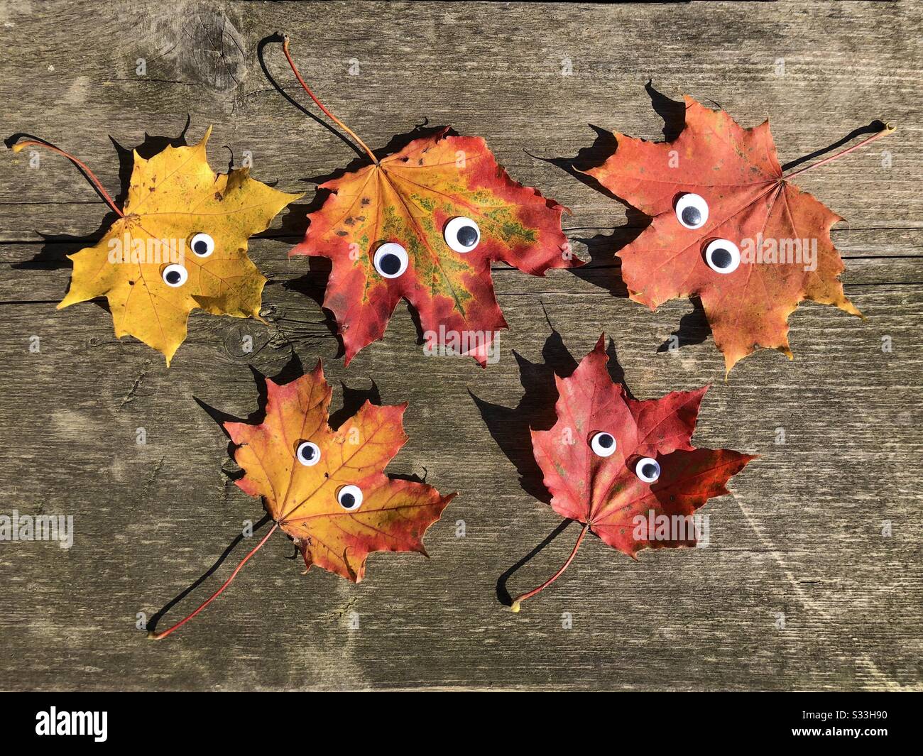 Foglie colorate d'autunno con occhi googly sul rustico tavolo in legno - Immagine stock catturata con smartphone
