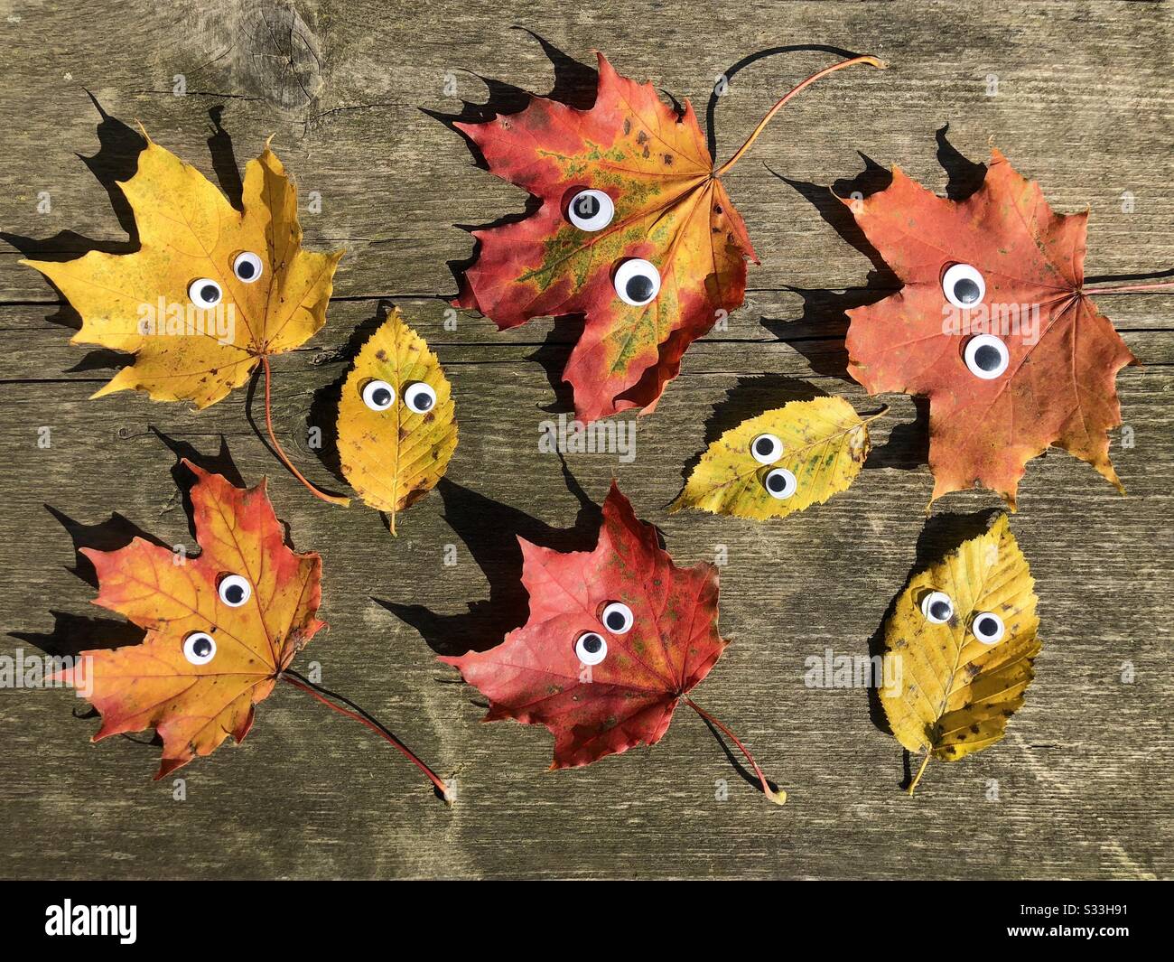 Foglie colorate d'autunno con occhi googly sul rustico tavolo in legno - Immagine stock catturata con smartphone