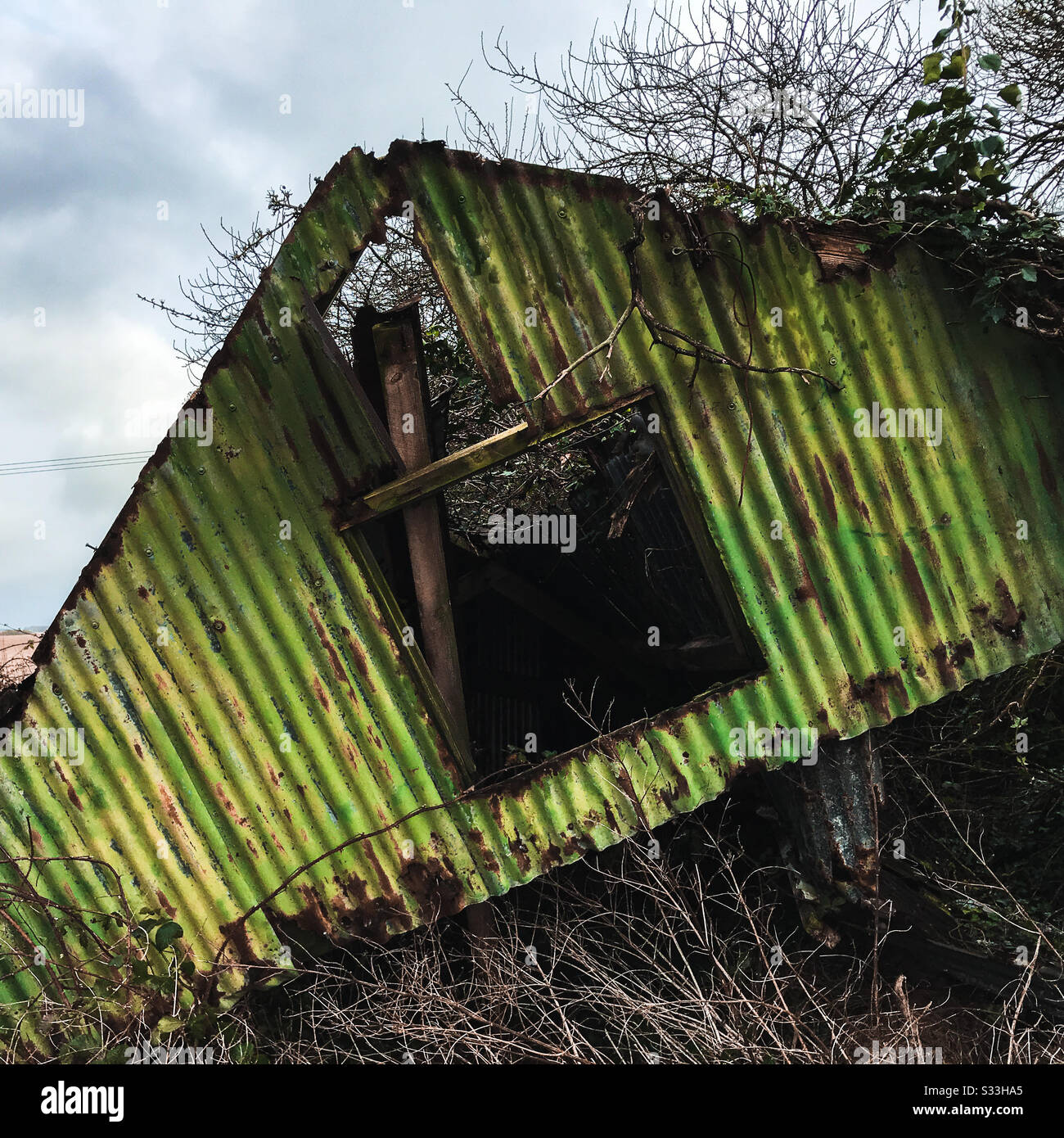 Un abbandonato derelict disusato ferro corrugato affioramento di colore verde nella campagna di terra di macchia con vegetazione che cresce dentro e fuori di esso Foto Stock