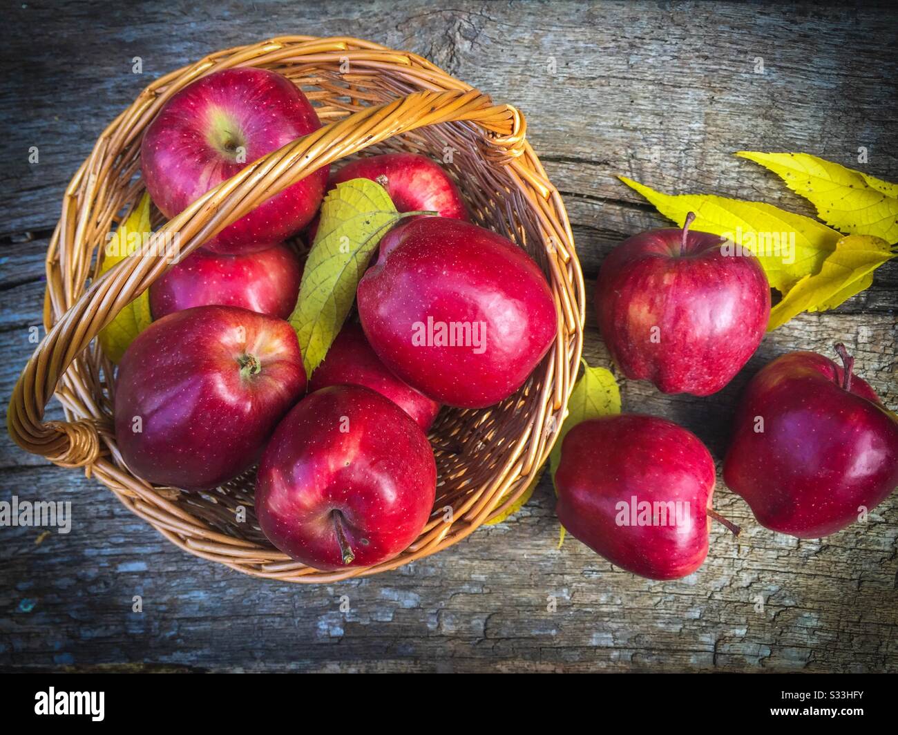 Cestino in legno con mele rosse e foglie gialle su un rustico tavolo in legno Foto Stock