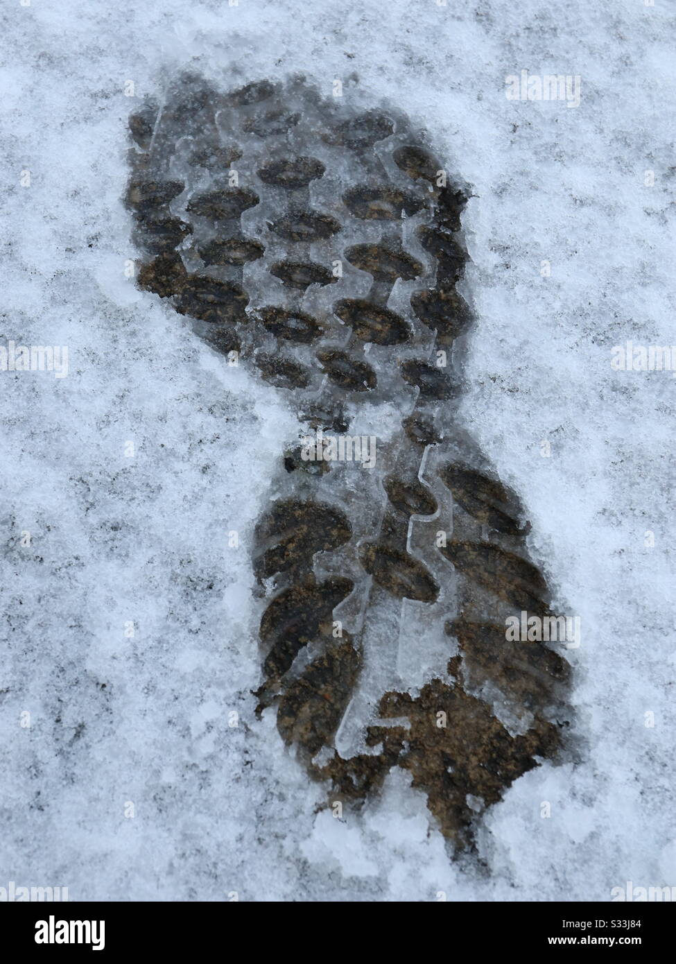 Yeti nella neve Foto Stock
