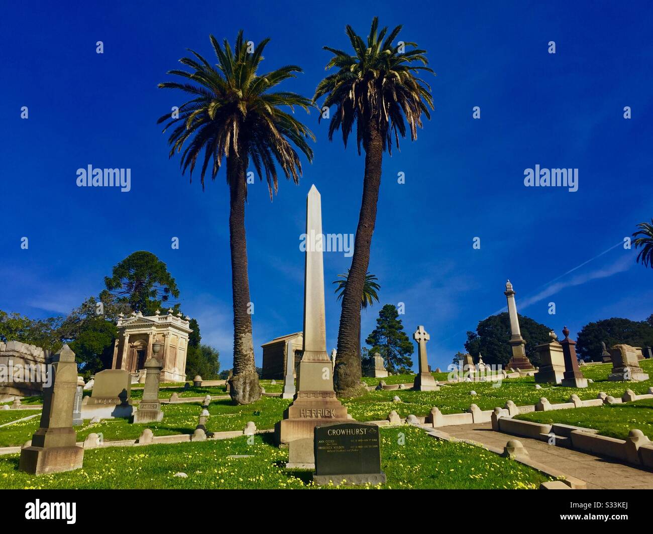 Obelisco, lapidi e crpiti con palme in una giornata di sole allo storico cimitero Mountain View di Oakland, California. Foto Stock