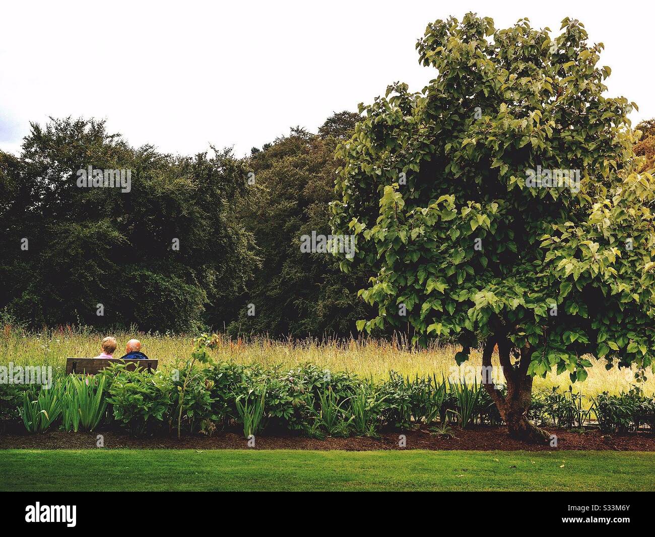 Una vecchia coppia si sedette su una panchina del parco. Ampio futuro aperto. Relax in estate o in primavera. Nessuna cura. Non preoccuparti. Pianificazione del pensionamento - Immagine stock catturata con smartphone