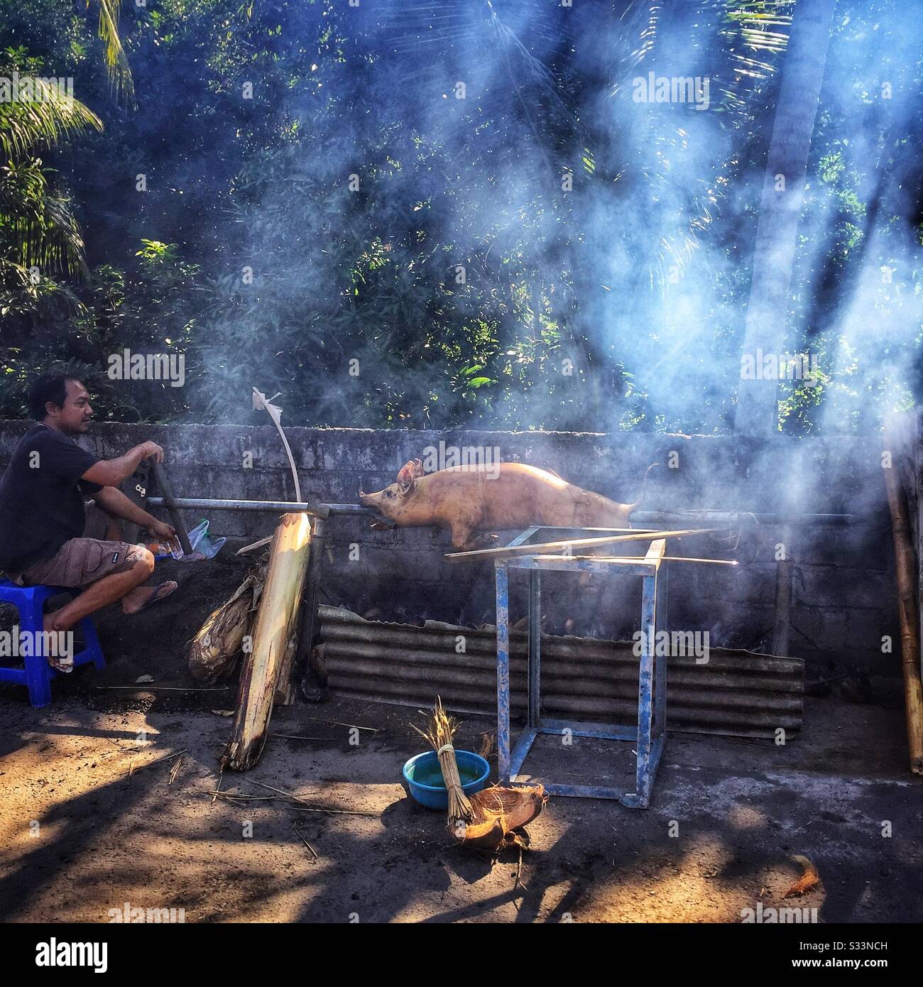 Un abitante del villaggio arrosti un maiale sopra i carboni fatti dalle bucce di cocco per un festival, Bali, Indonesia Foto Stock