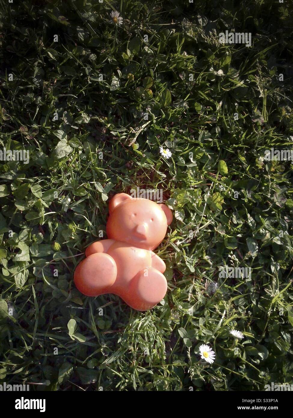 Orso giocattolo Sdraiato nel culo - Immagine stock catturata con smartphone