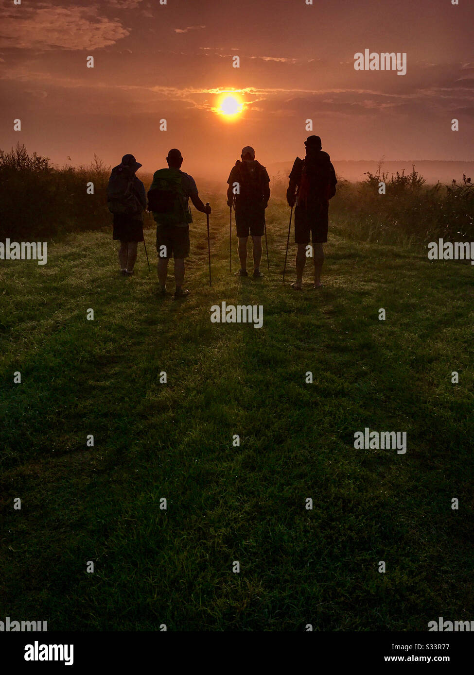 Le spalle di quattro backpackers in piedi e guardando una bella alba. - Immagine stock catturata con smartphone