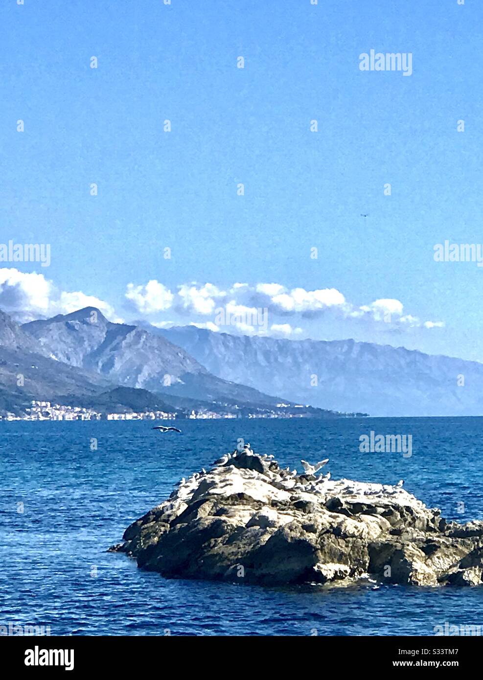 Un isolotto nell'Adriatico popolato da gabbiani Foto Stock