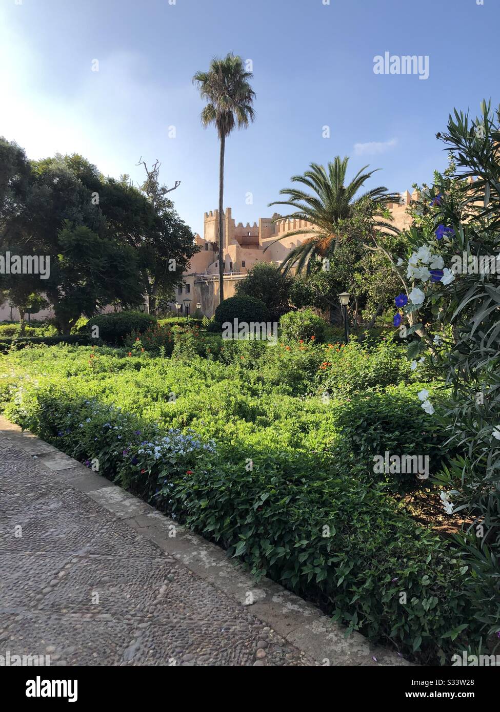 Giardino nella Medina di Rabat Foto Stock