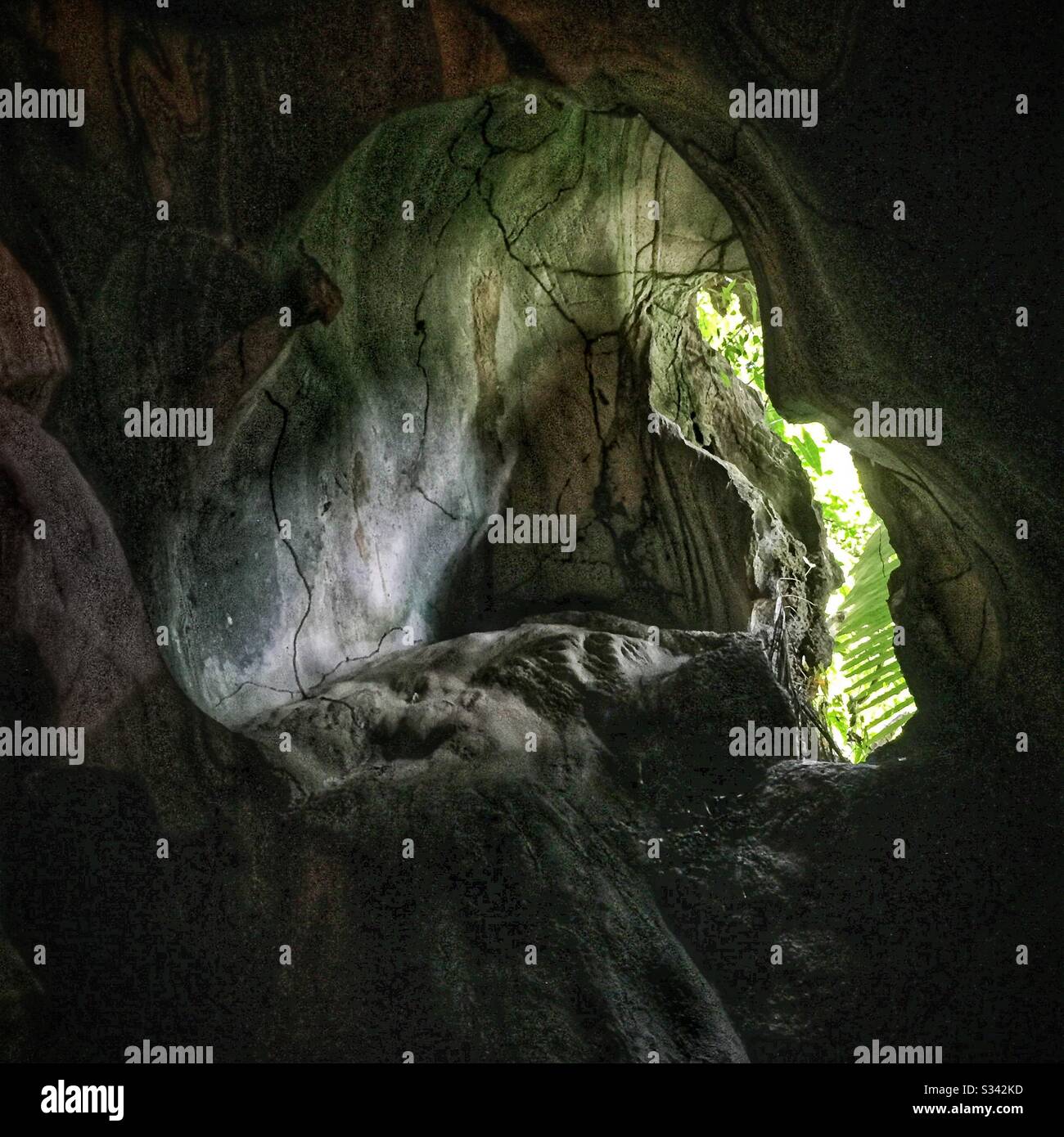 Una grotta di calcare sulla giungla a piedi tra il Banjaran Hotsprings Retreat e il Lost World of Tambun parco a tema vicino Ipoh, Malesia Foto Stock