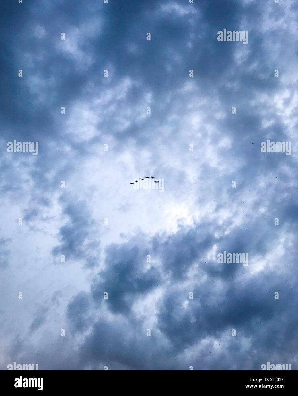 Pájaros en formación. Las Nubes de lluvia los enmarcan. Foto Stock