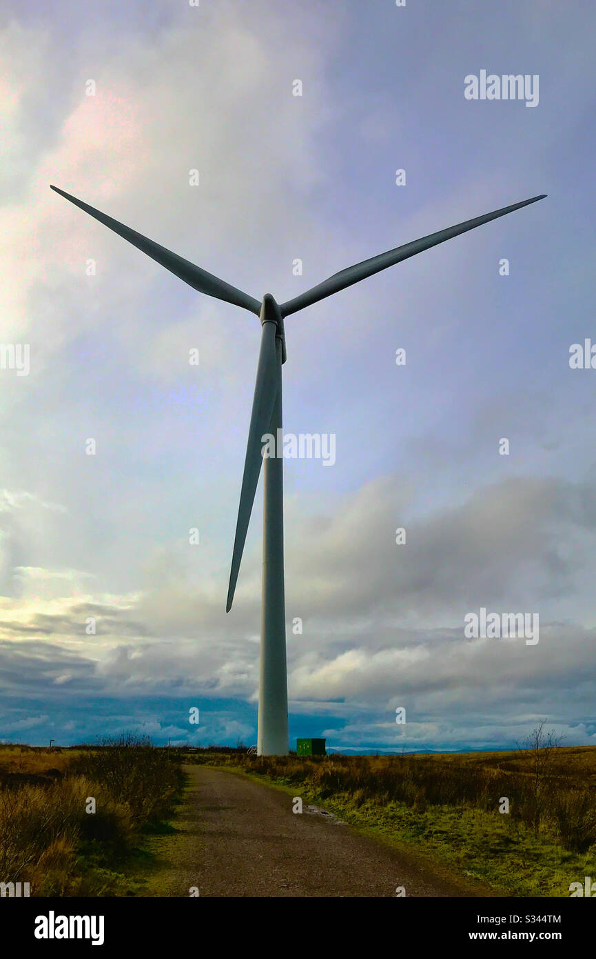 Mulino a vento a Whitelee Windfarm nella Scozia occidentale. Whitelee è il più grande parco eolico onshore del Regno Unito. Foto Stock