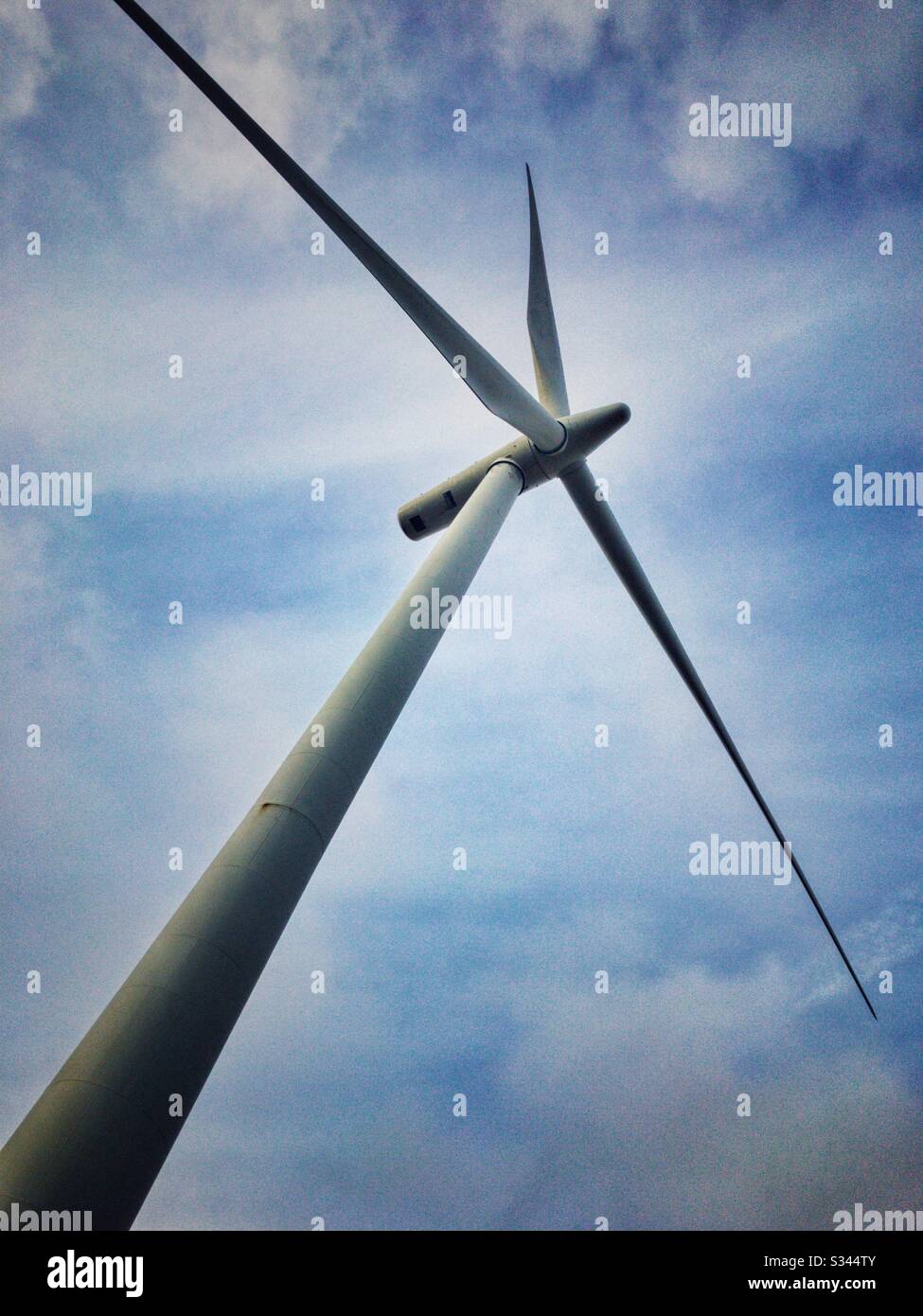 Mulino a vento a Whitelee Windfarm nella Scozia occidentale. Whitelee è il più grande parco eolico onshore del Regno Unito. Foto Stock