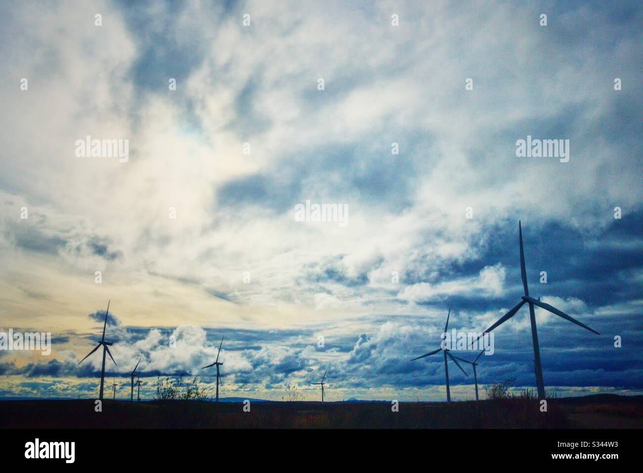 Mulini a vento a Whitelee Windfarm nella Scozia occidentale. Whitelee è il più grande parco eolico onshore del Regno Unito. Foto Stock
