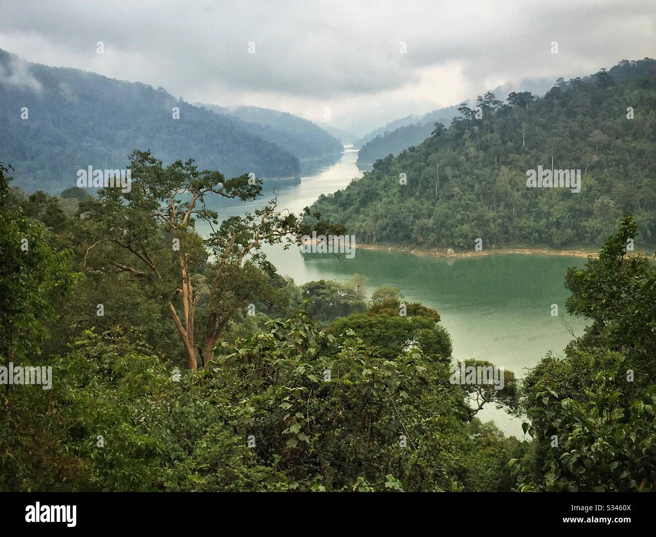 Un braccio del lago Telenggor, un lago artificiale creato per la generazione di energia idroelettrica che ha inondato oltre 15,000 ettari di foresta pluviale, visto da Pulau Banding (Banding Island), Perak, Malesia Foto Stock
