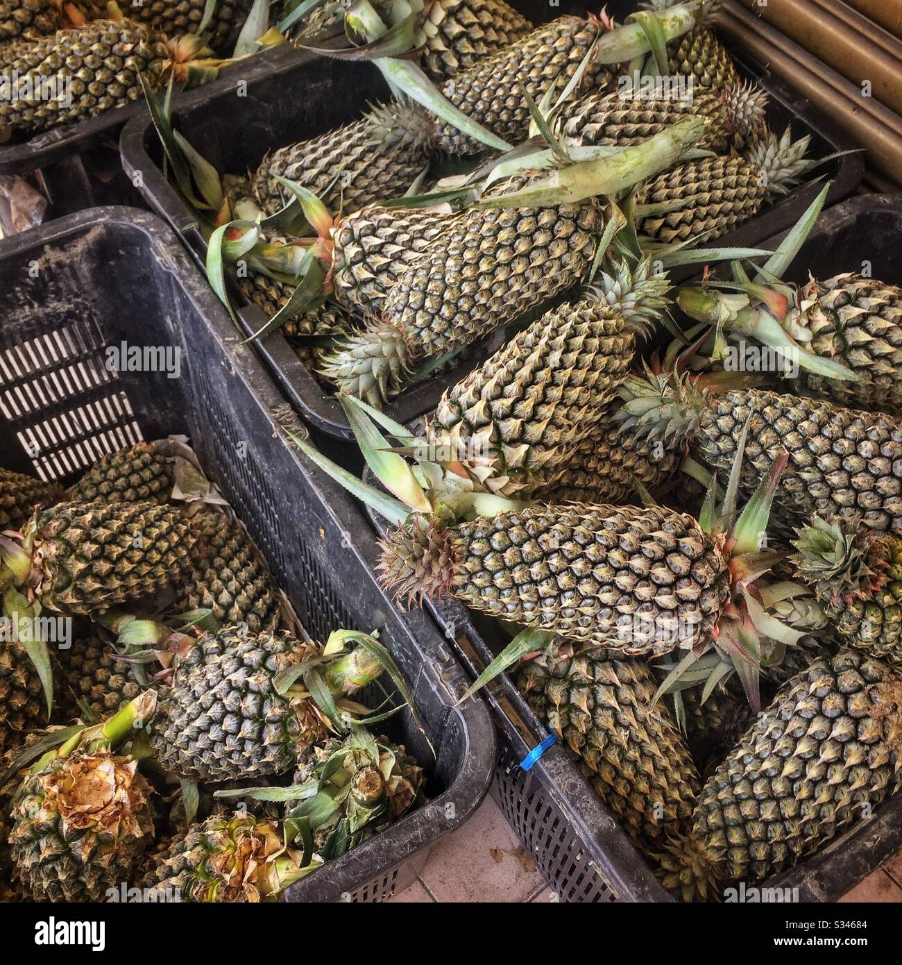 Ananas in vendita in un negozio di frutta nel centro storico di George Town, Penang, Malesia - Immagine stock catturata con smartphone