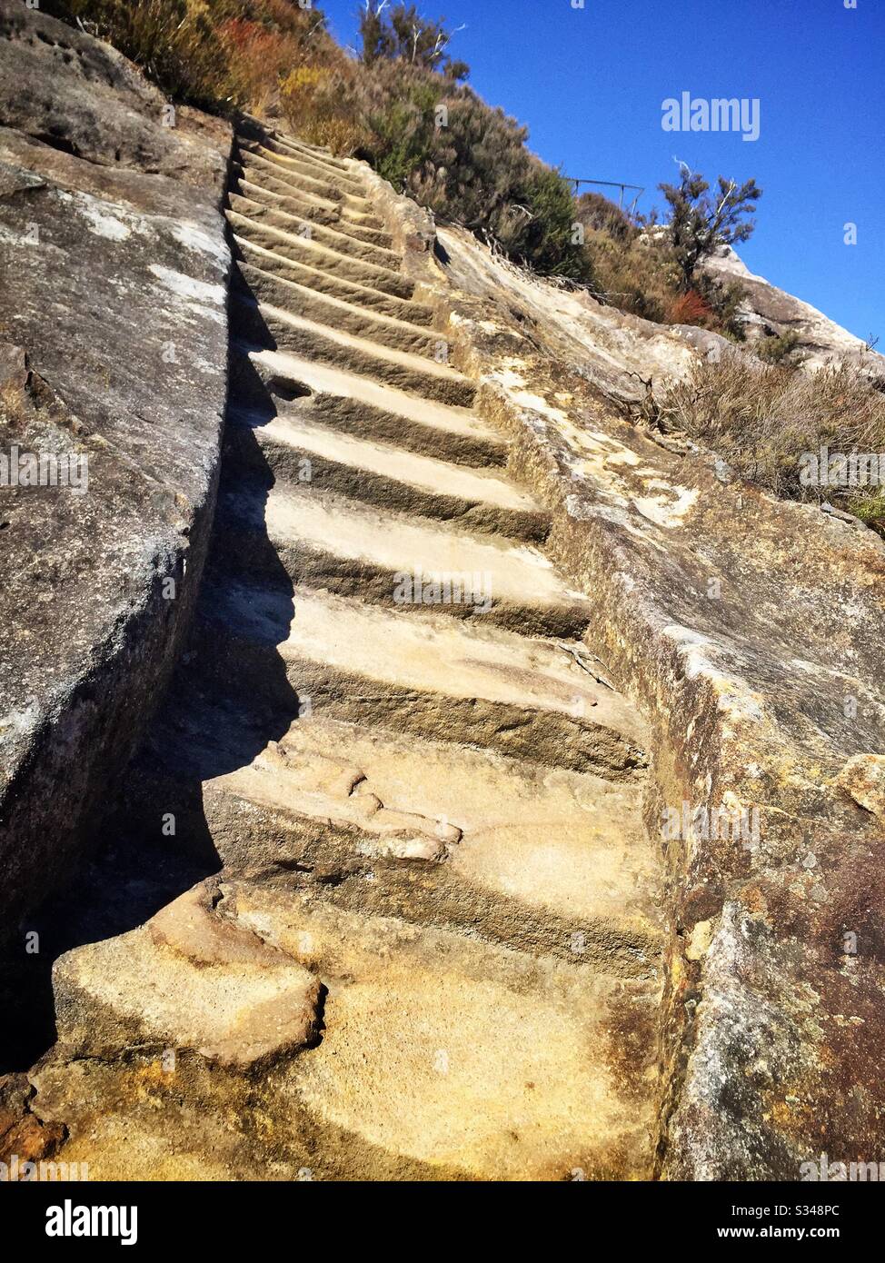 Scalini tagliati in arenaria, Prince Henry Clifftop Walk, Blue Mountains National Park, NSW, Australia Foto Stock