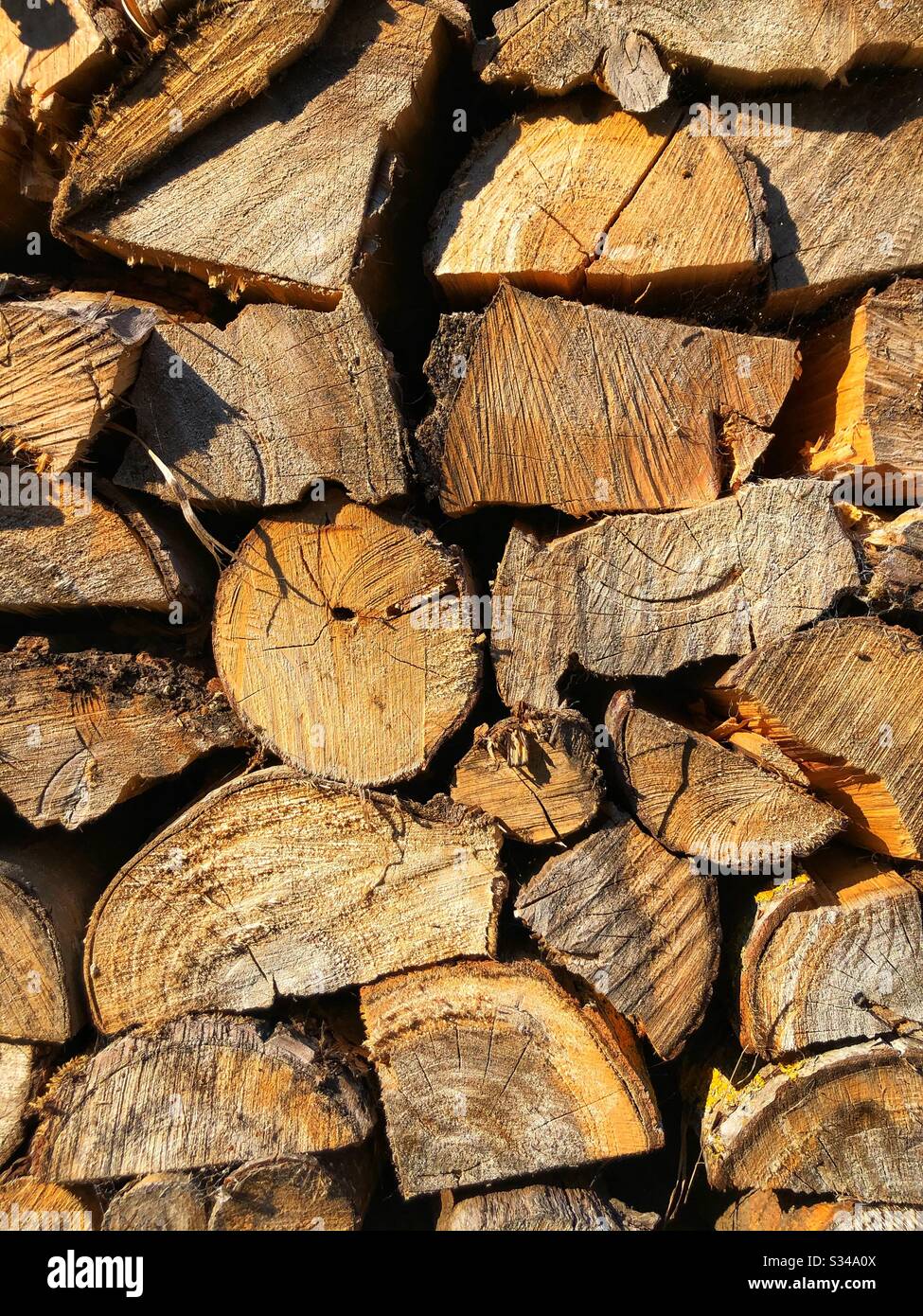 Pila di tronchi di legno per il camino Foto Stock