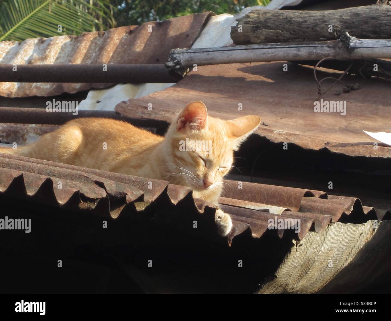 legittimo - Immagine stock catturata con smartphone