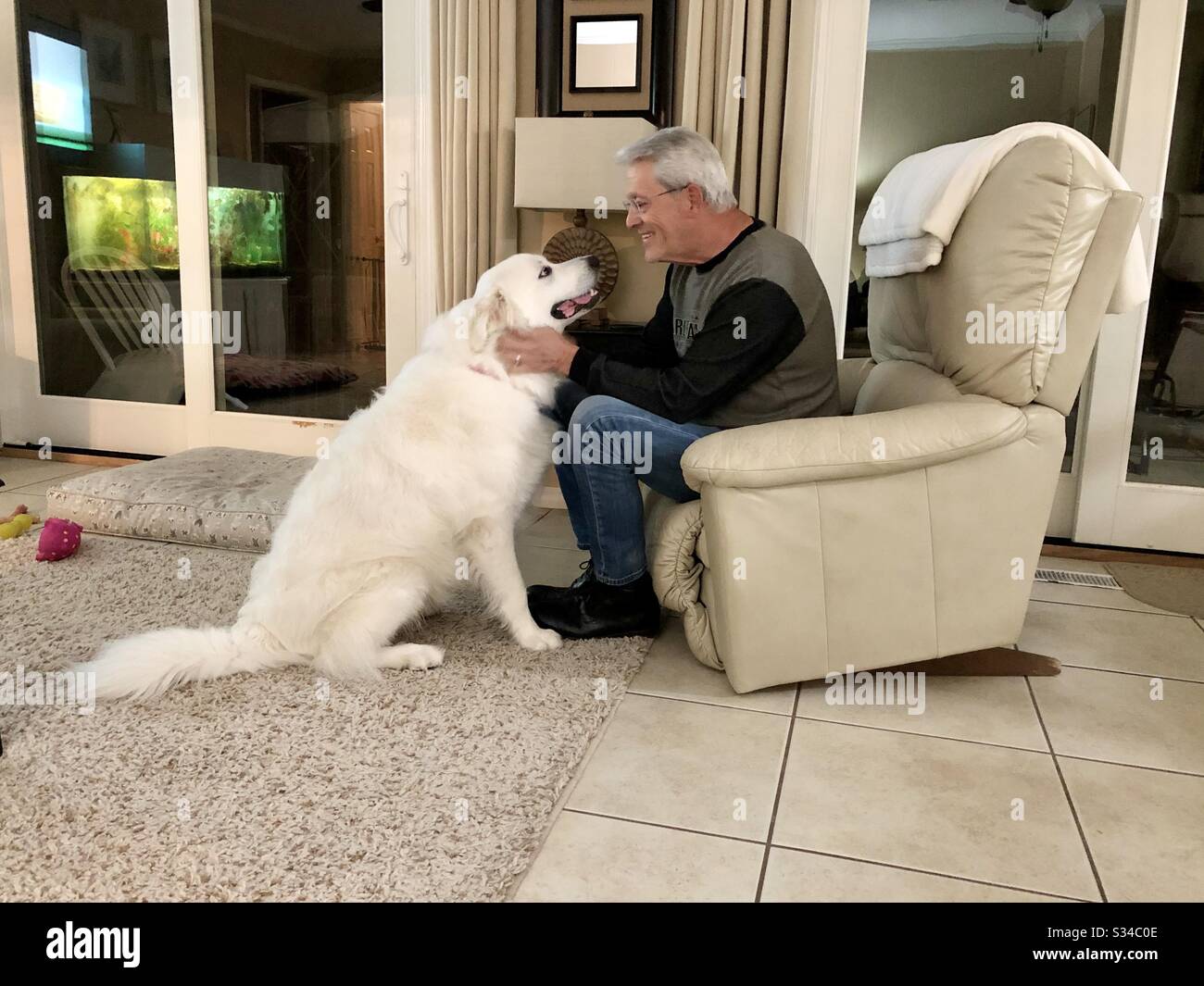 Uomo con un cane dei grandi Pirenei a casa. - Immagine stock catturata con smartphone