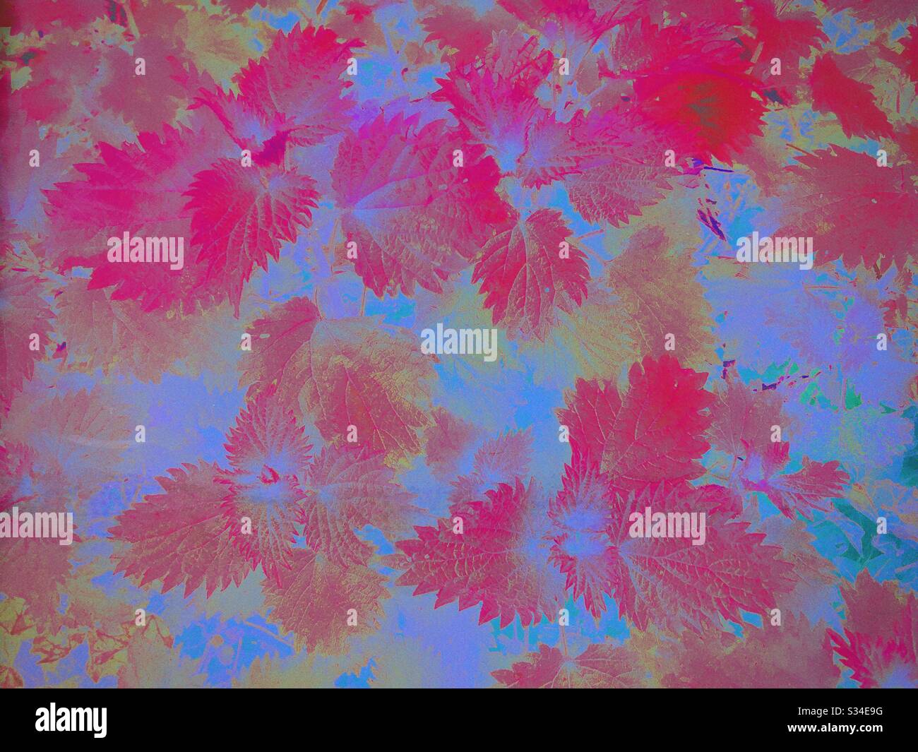 Natura tema modello di foglie in colori mutati di rosa, azzurro e giallo Foto Stock