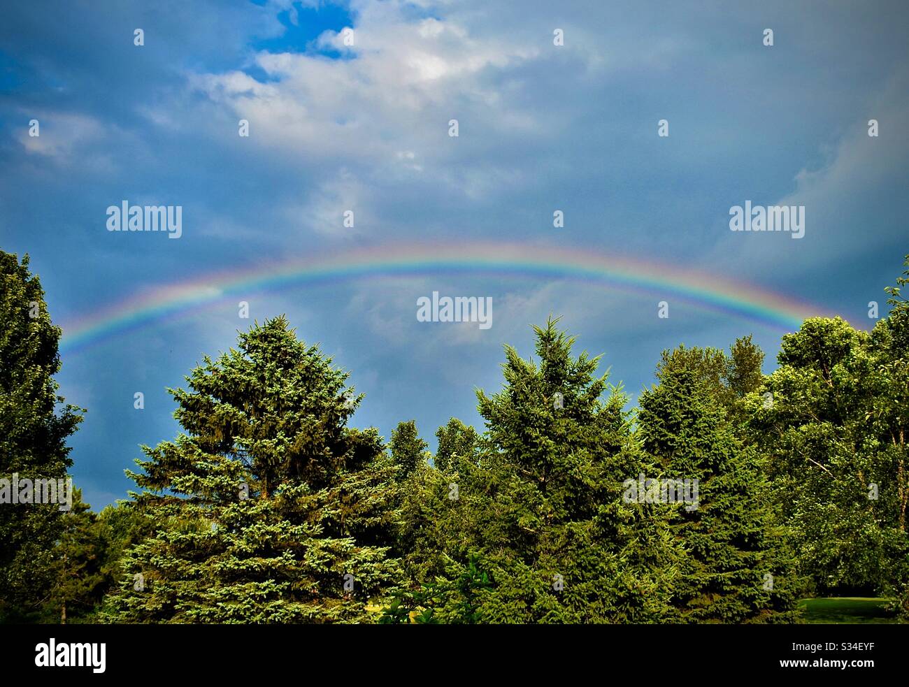 Arcobaleno e pini - Immagine stock catturata con smartphone