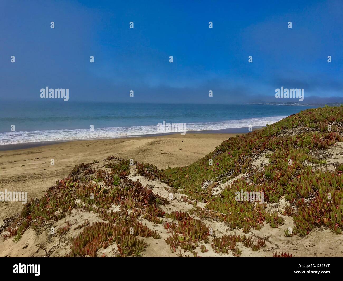 Oceano Pacifico con nebbia in avvicinamento e piante di ghiaccio - Immagine stock catturata con smartphone Oceano Pacifico con nebbia in avvicinamento e piante di ghiaccio - Immagine stock catturata con smartphone