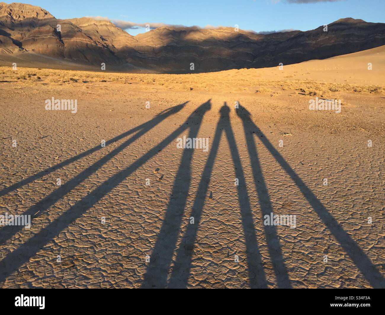 Ombre di quattro persone nel deserto al tramonto. Foto Stock