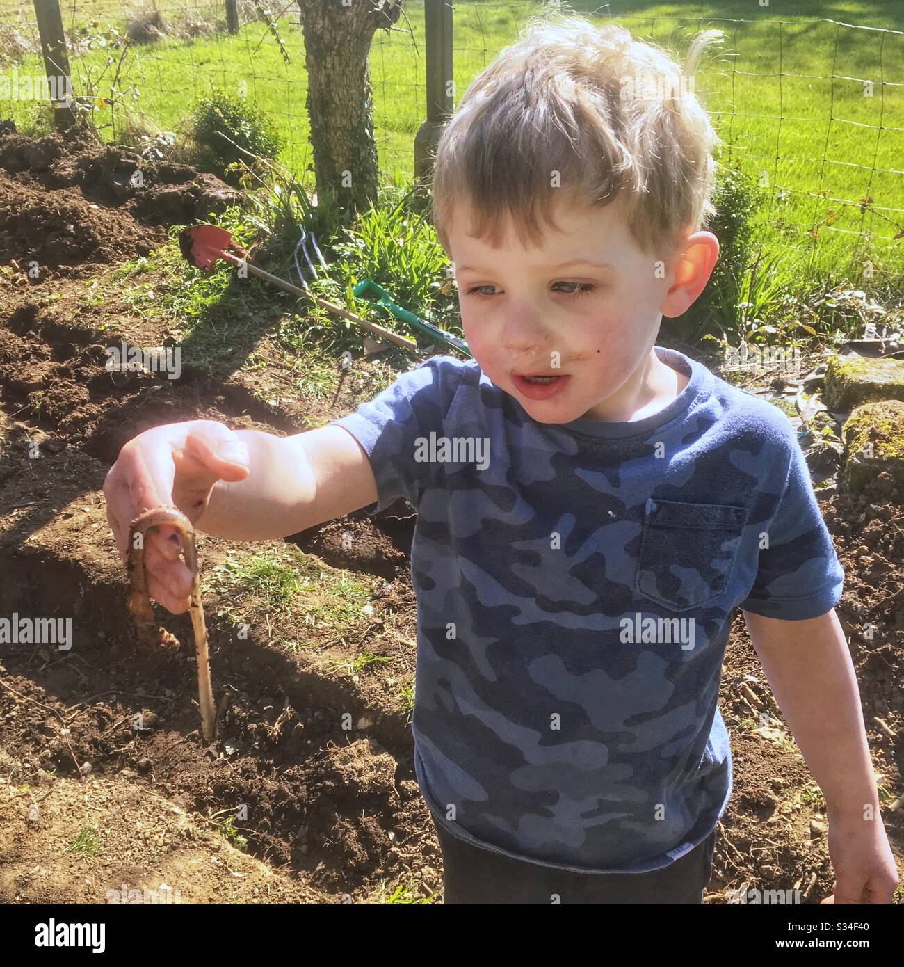 Ragazzo di tre anni con un grosso lombrico, Hampshire, Inghilterra, Regno Unito. Foto Stock