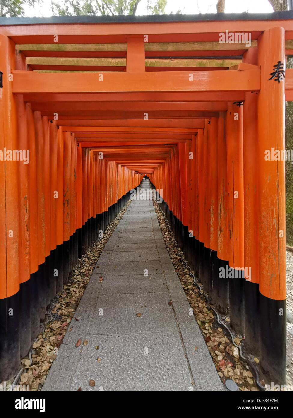 Red Gate dei tori a Fushimi Inari Shrine in Kyoto, Giappone. - Immagine stock catturata con smartphone