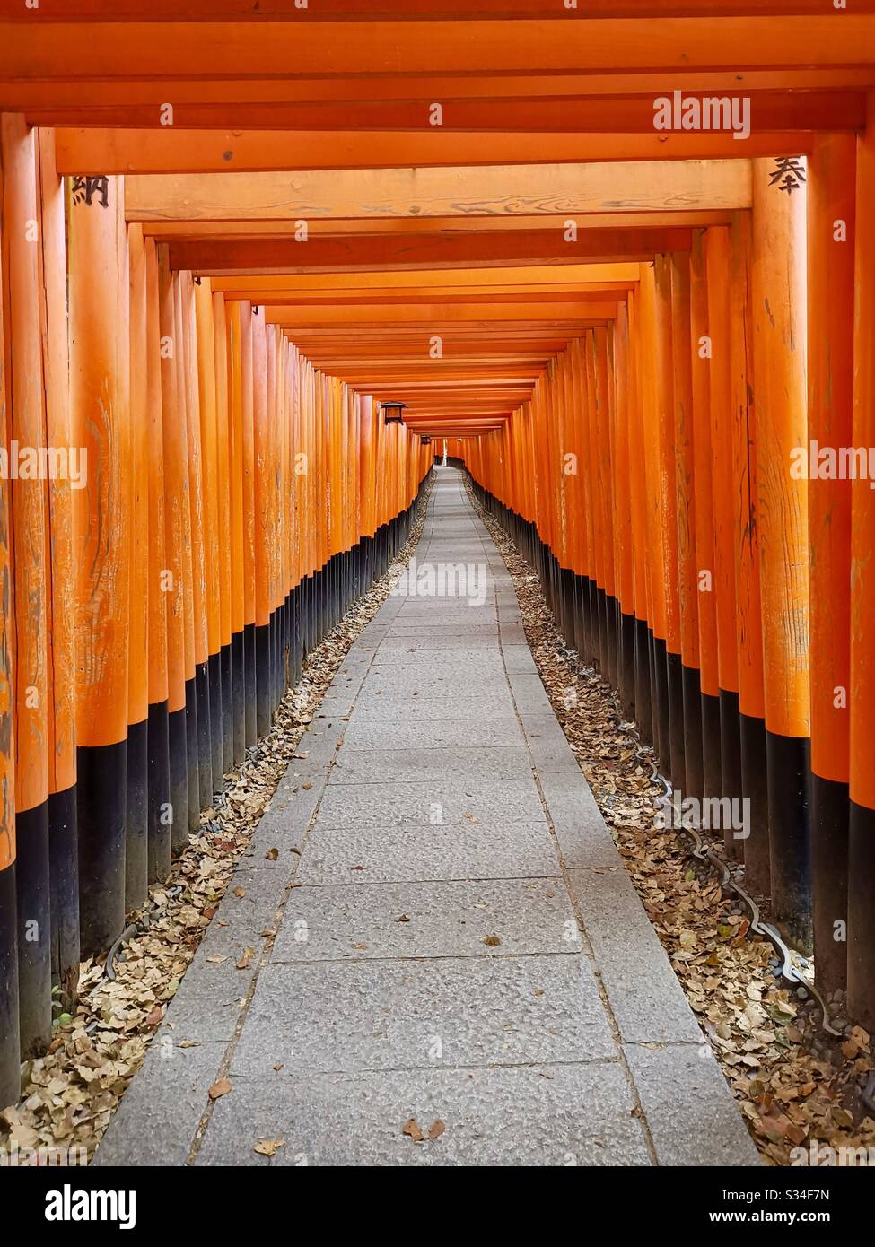 Red Tori Gates al Santuario di Fushimi Inari a Kyoto, Giappone. - Immagine stock catturata con smartphone