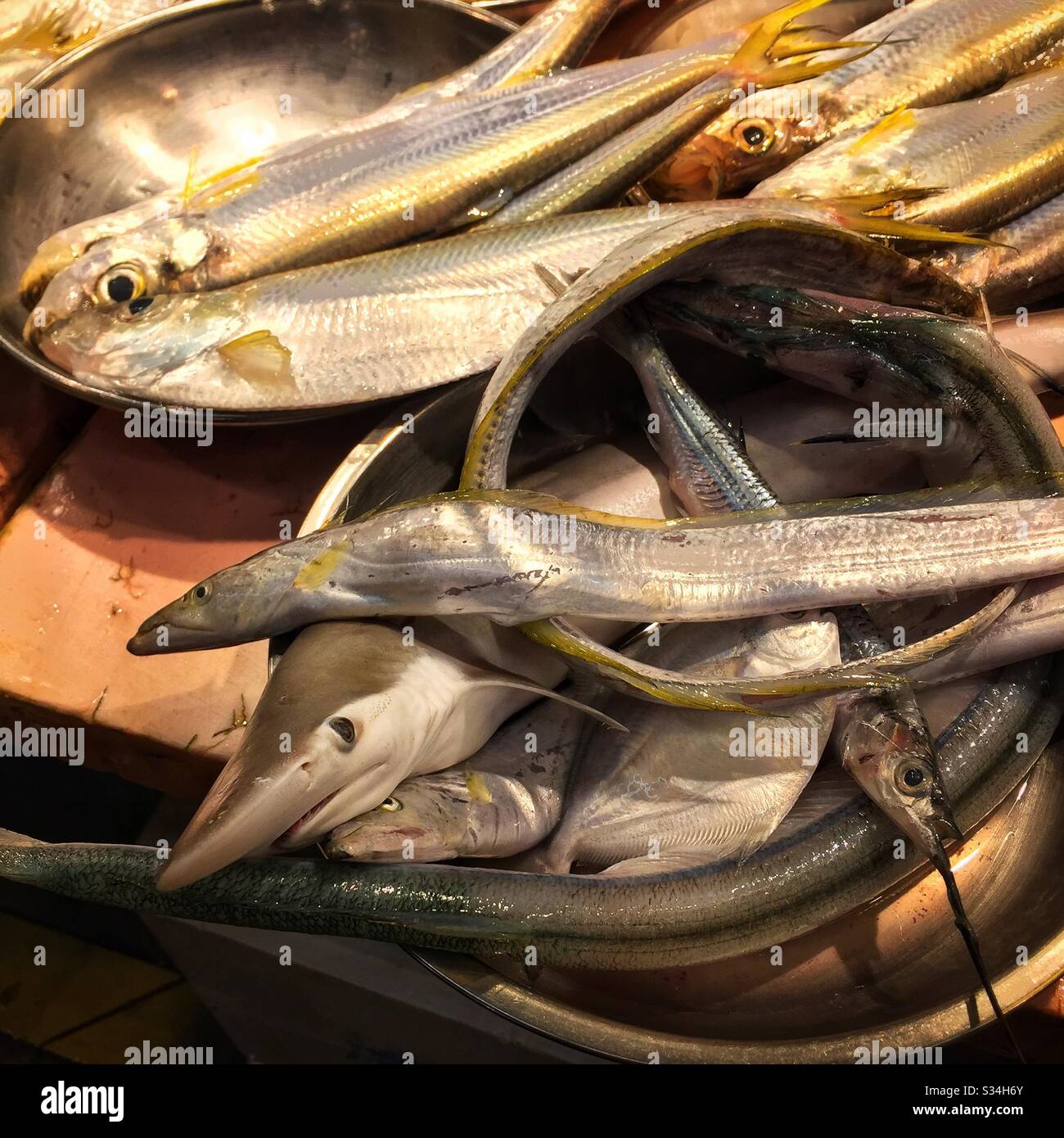 Uno squalo bambino, bycatch di altri pesci, per la vendita in un mercato bagnato a Yuen Long, New Territories, Hong Kong Foto Stock